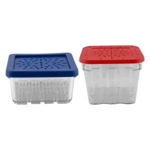 Avanti Berry Baskets - Set of 2