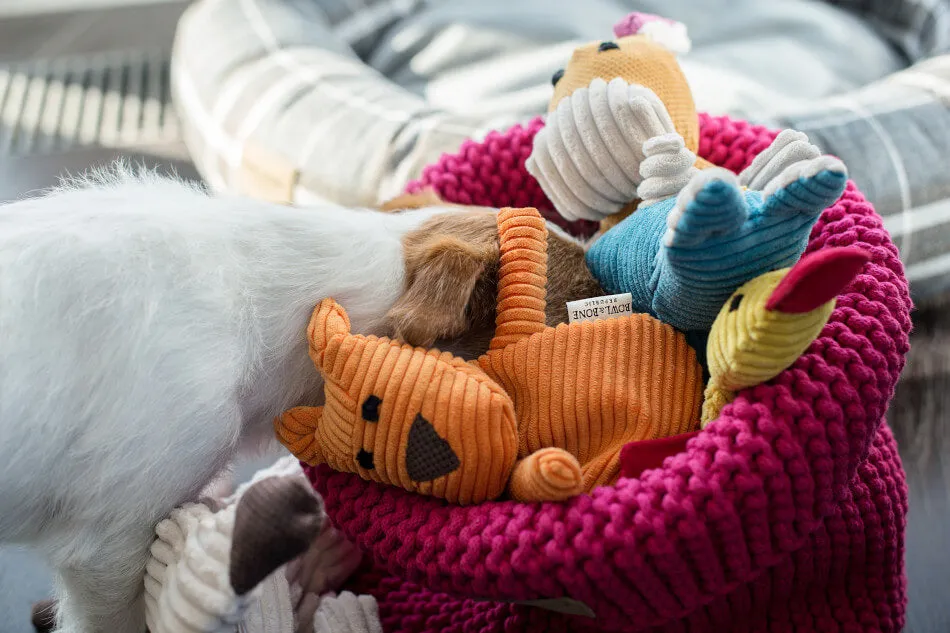 Bowl and Bone Pink Cotton Dog Toy Storage Basket