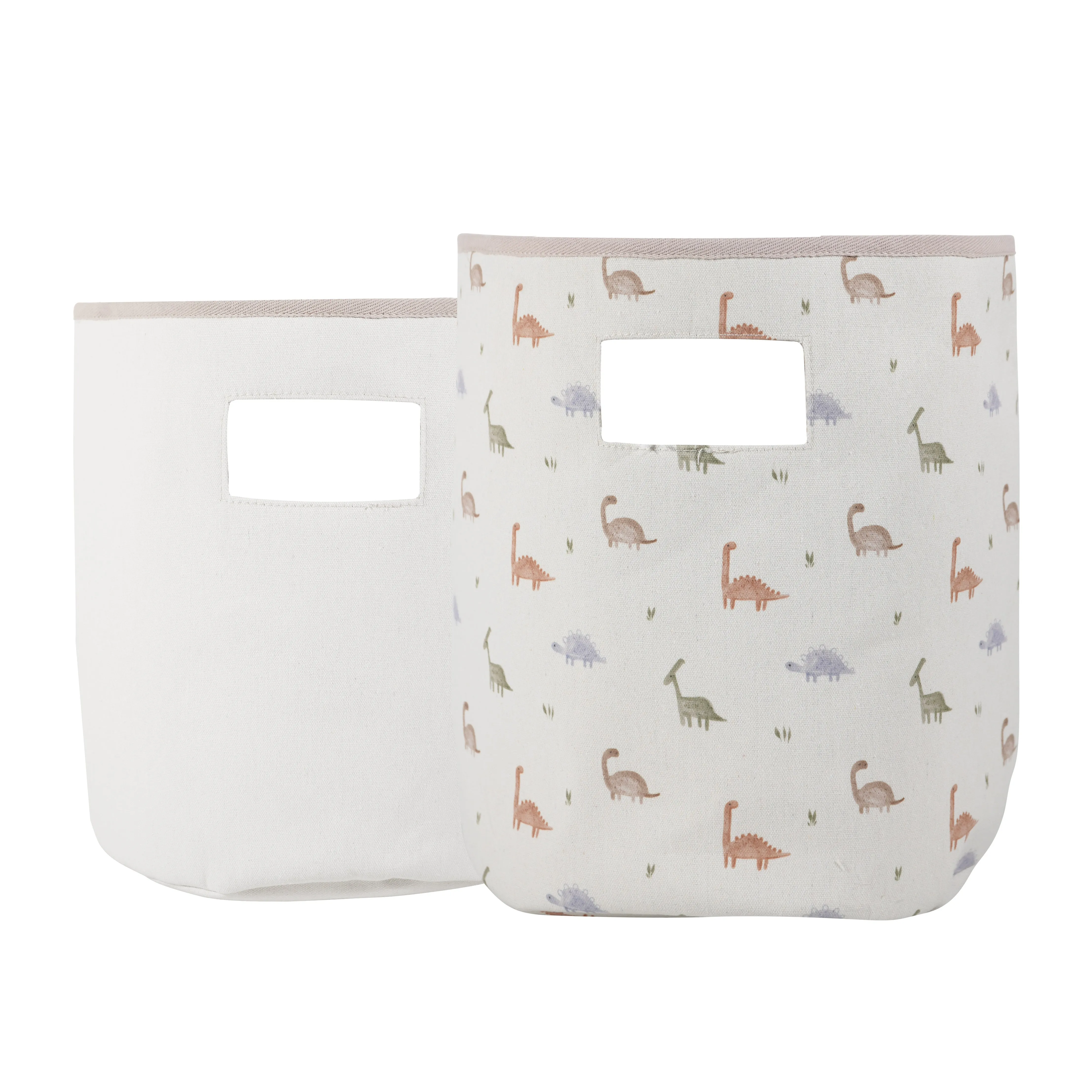 Darby Dino Pattern Storage