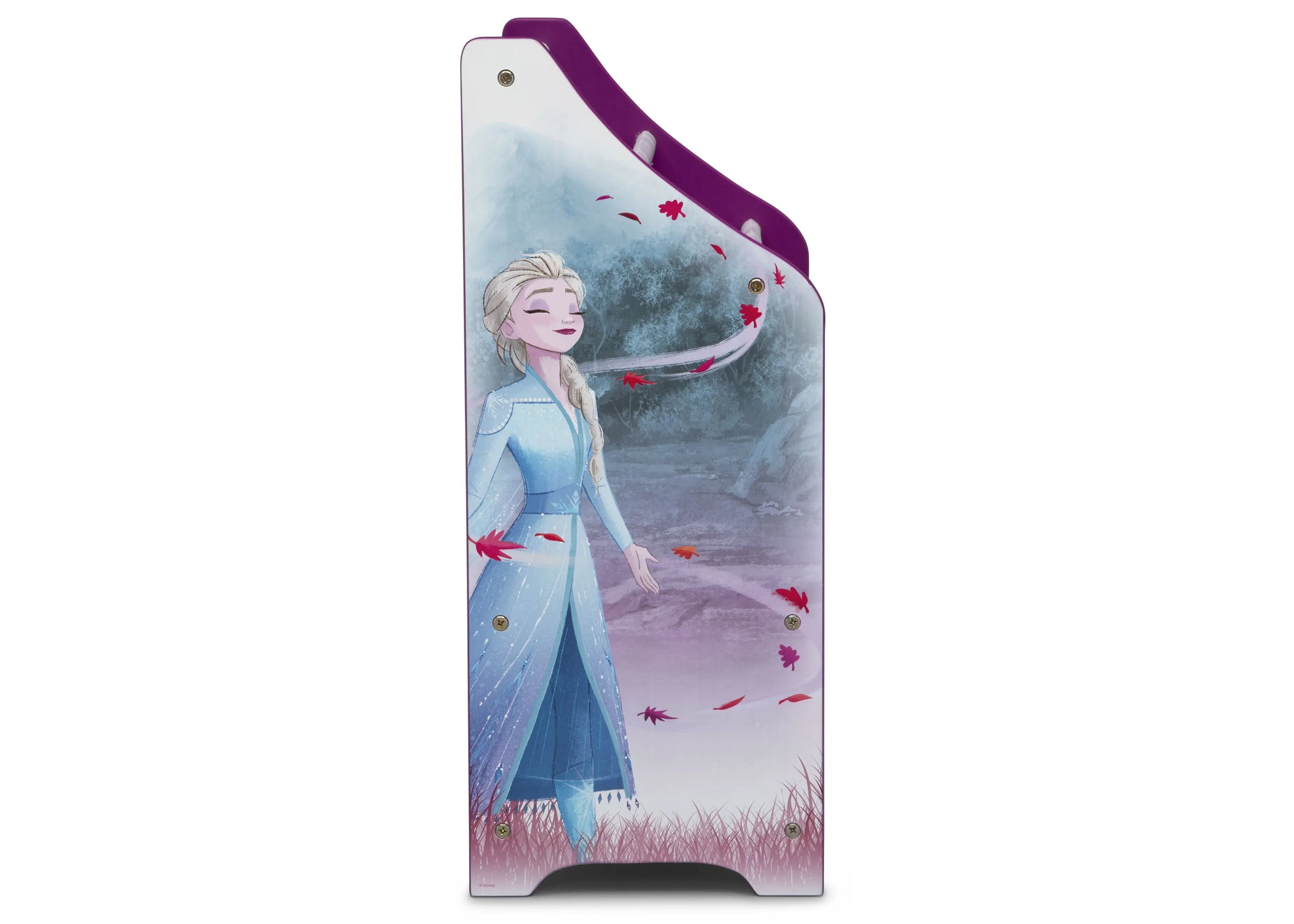 Frozen II Toy and Book Organizer