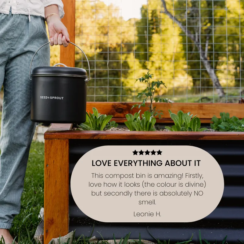 Kitchen Compost Bin | Liquorice