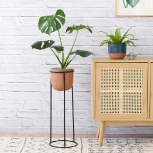 Orion Plant Stand - Black