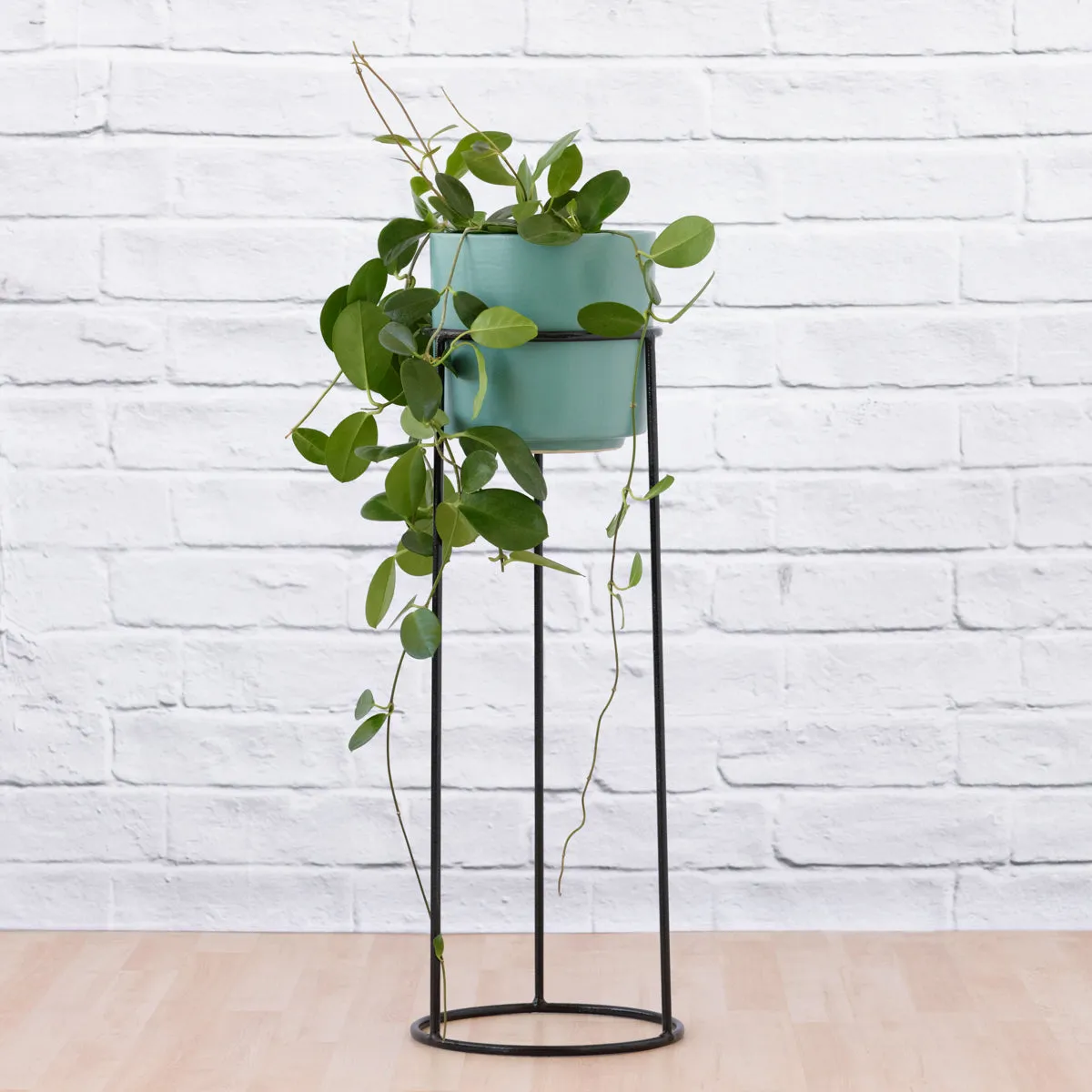 Orion Plant Stand - Black