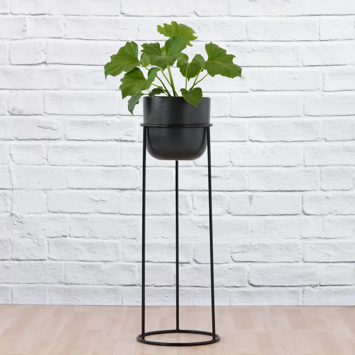 Orion Plant Stand - Black