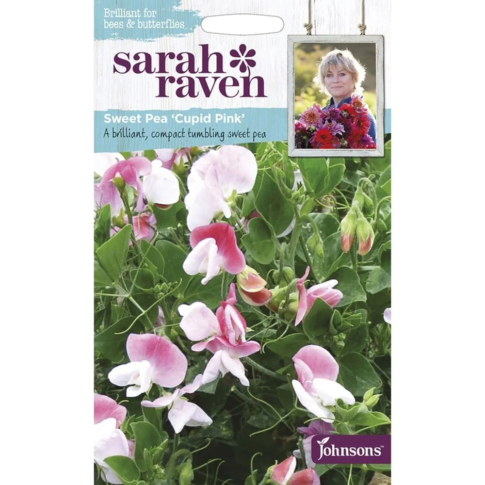 Sarah Raven Sweet Pea 'Cupid Pink' Seeds